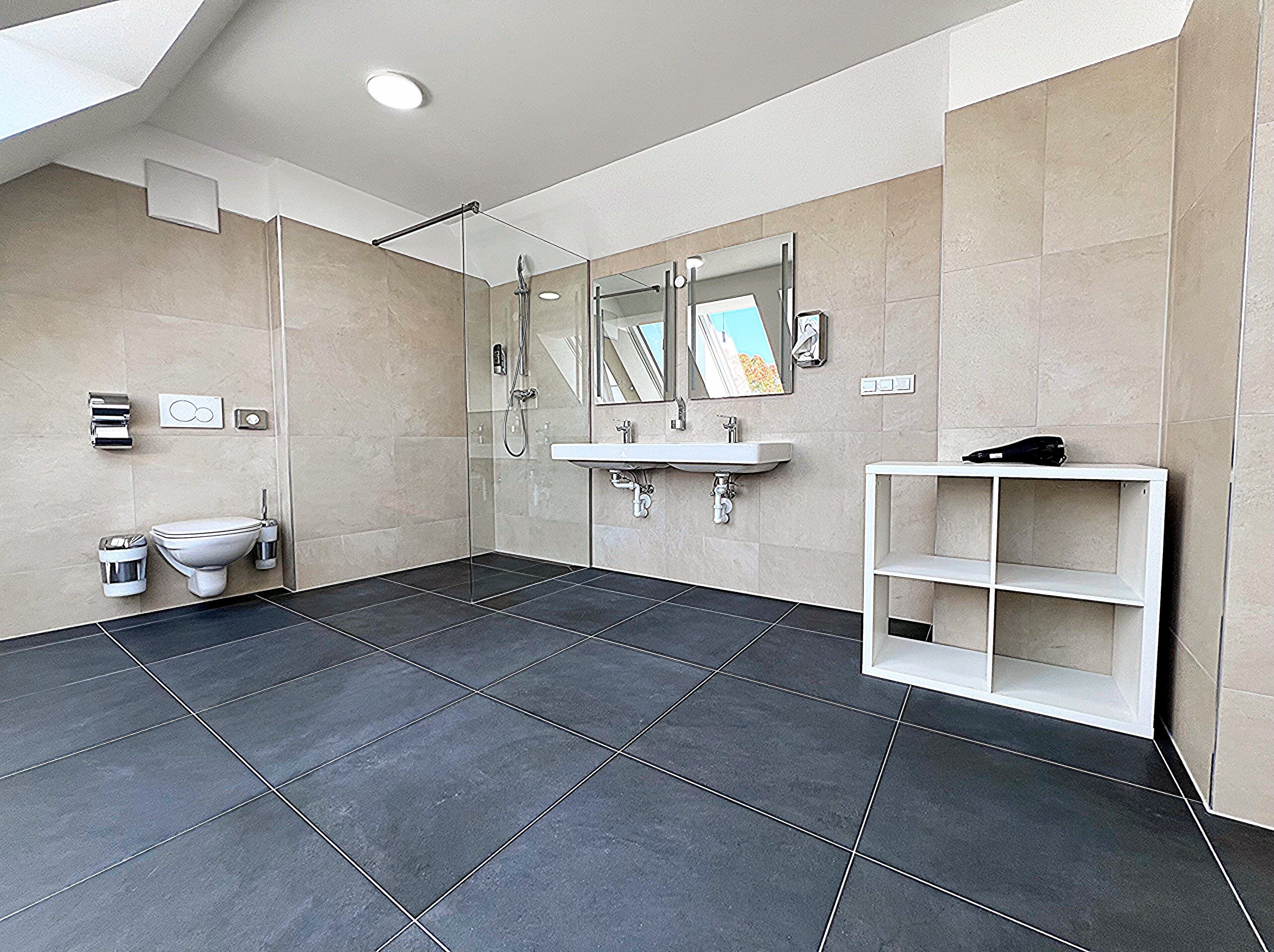 A modern bathroom with a glass shower enclosure, a white sink, and a toilet.