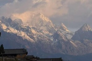 الإطلالة من المنشأة