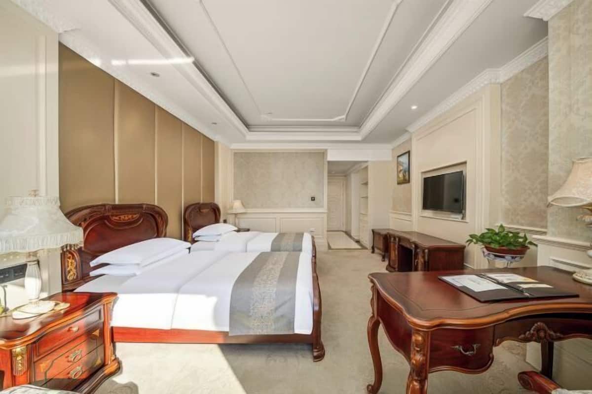 Habitación de hotel con una cama grande, un escritorio, una silla, un televisor y una planta.