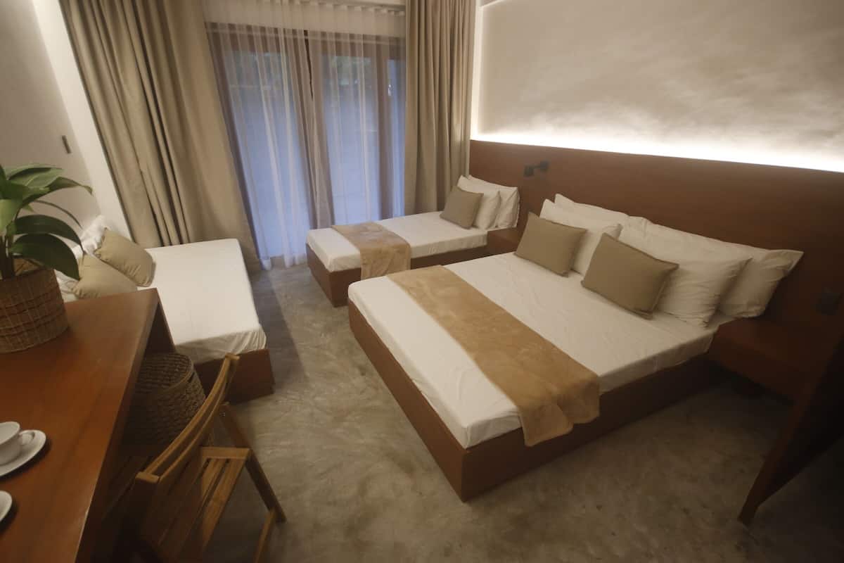 Une chambre d’hôtel avec deux lits simples, un bureau en bois avec une chaise, une plante en pot et une grande fenêtre avec des rideaux.