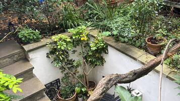 Ein Garten mit verschiedenen Pflanzen und einer Steintreppe.