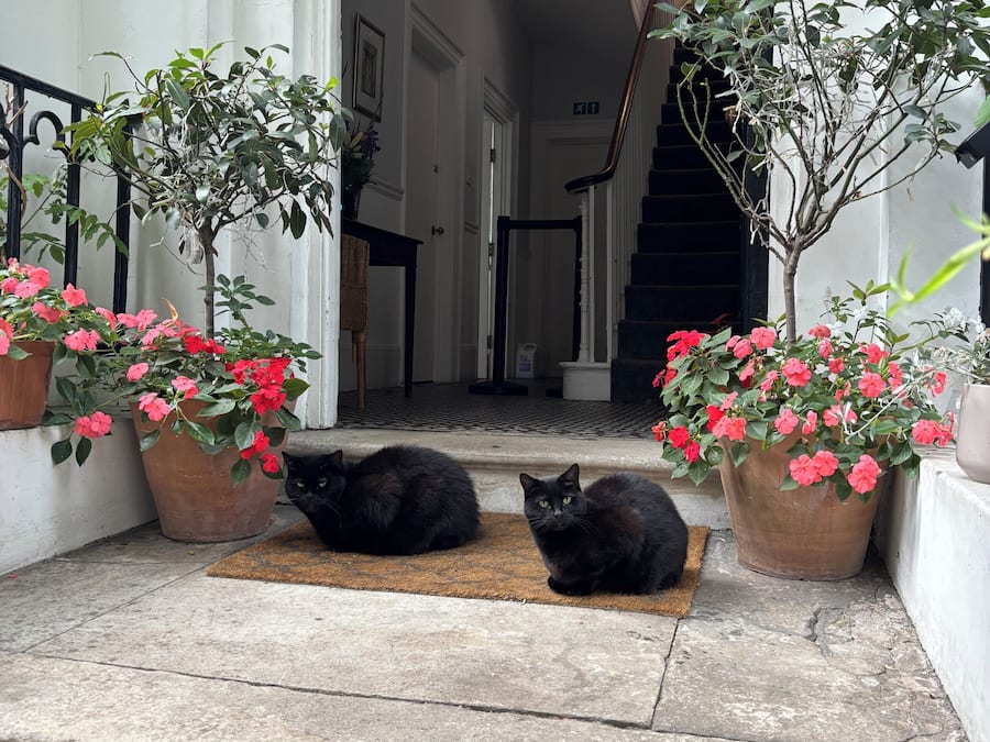 Voorkant van accommodatie