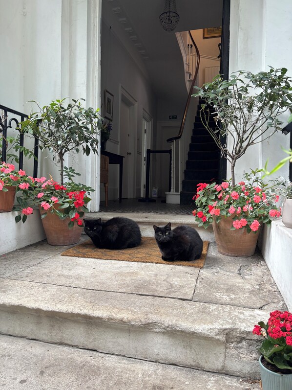 Front of property - Central Victorian House (London)