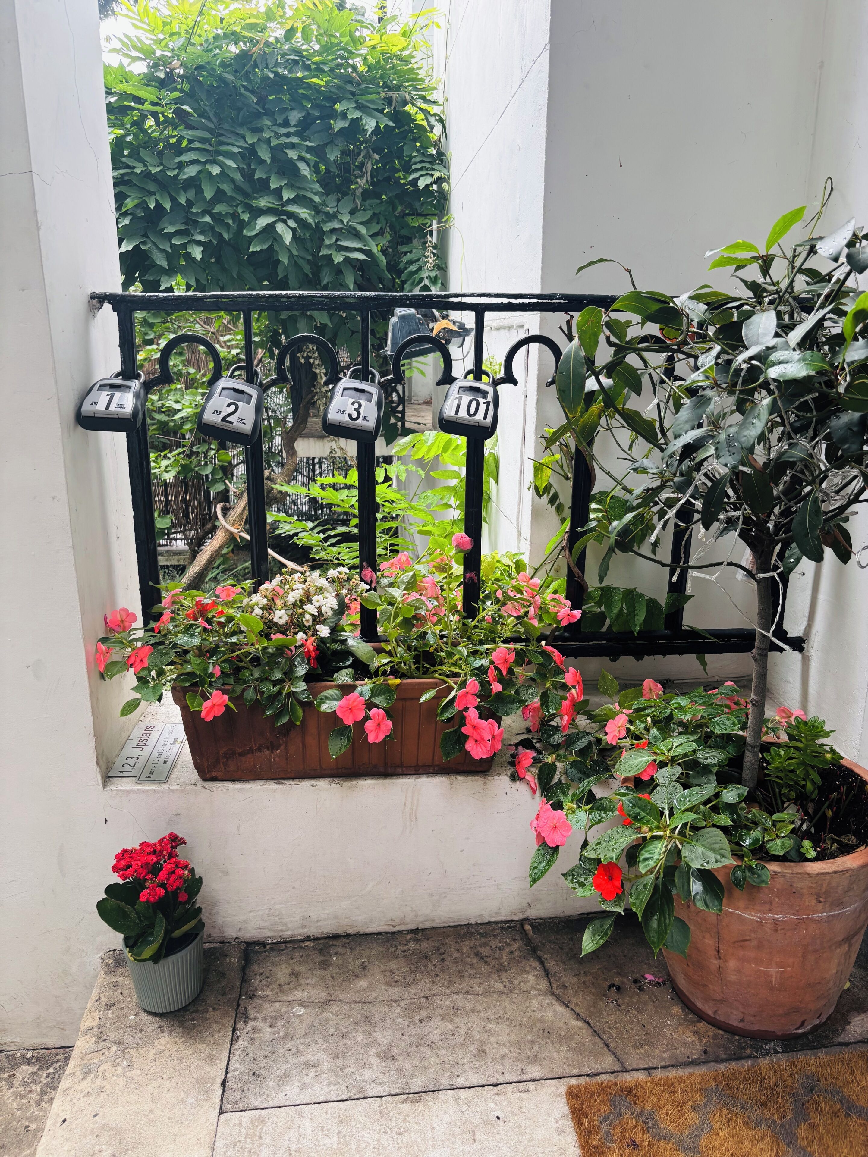 A balcony with numbered metal railings, potted plants, and a concrete floor.