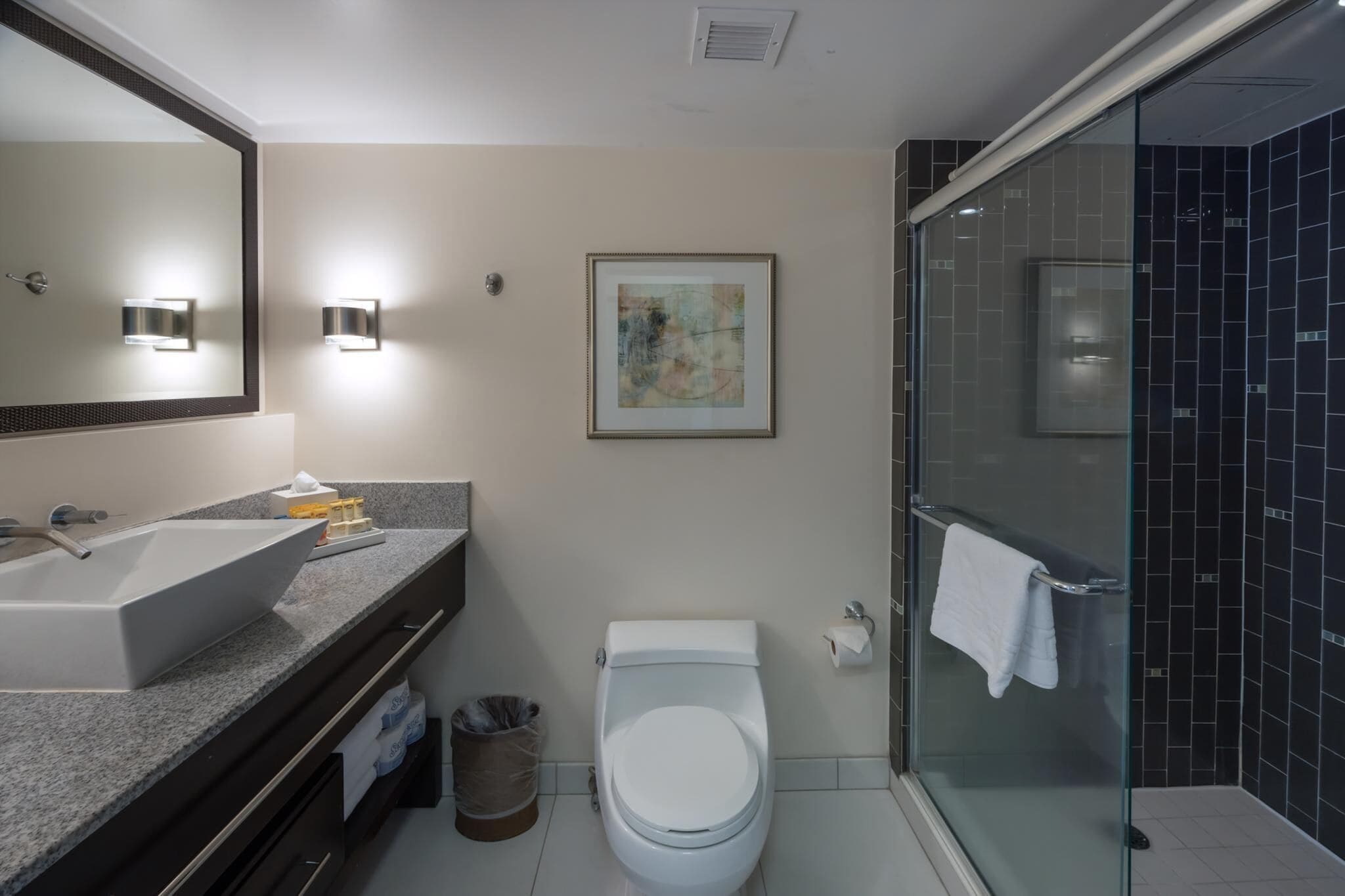 Hair dryer, towels, soap, shampoo