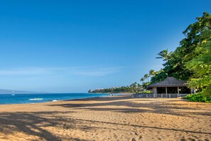A beach with a gazebo, palm trees, and a clear view of the ocean.