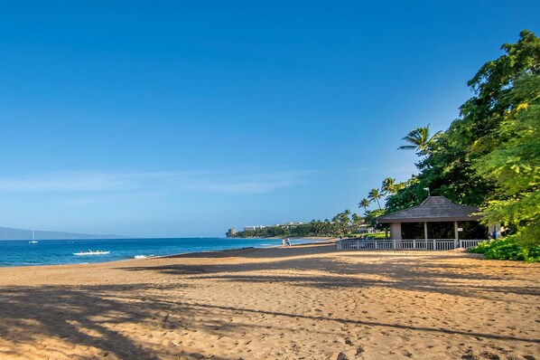A beach with a gazebo, palm trees, and a clear view of the ocean.