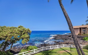 A coastal view with a white fence, a building, and a tree.