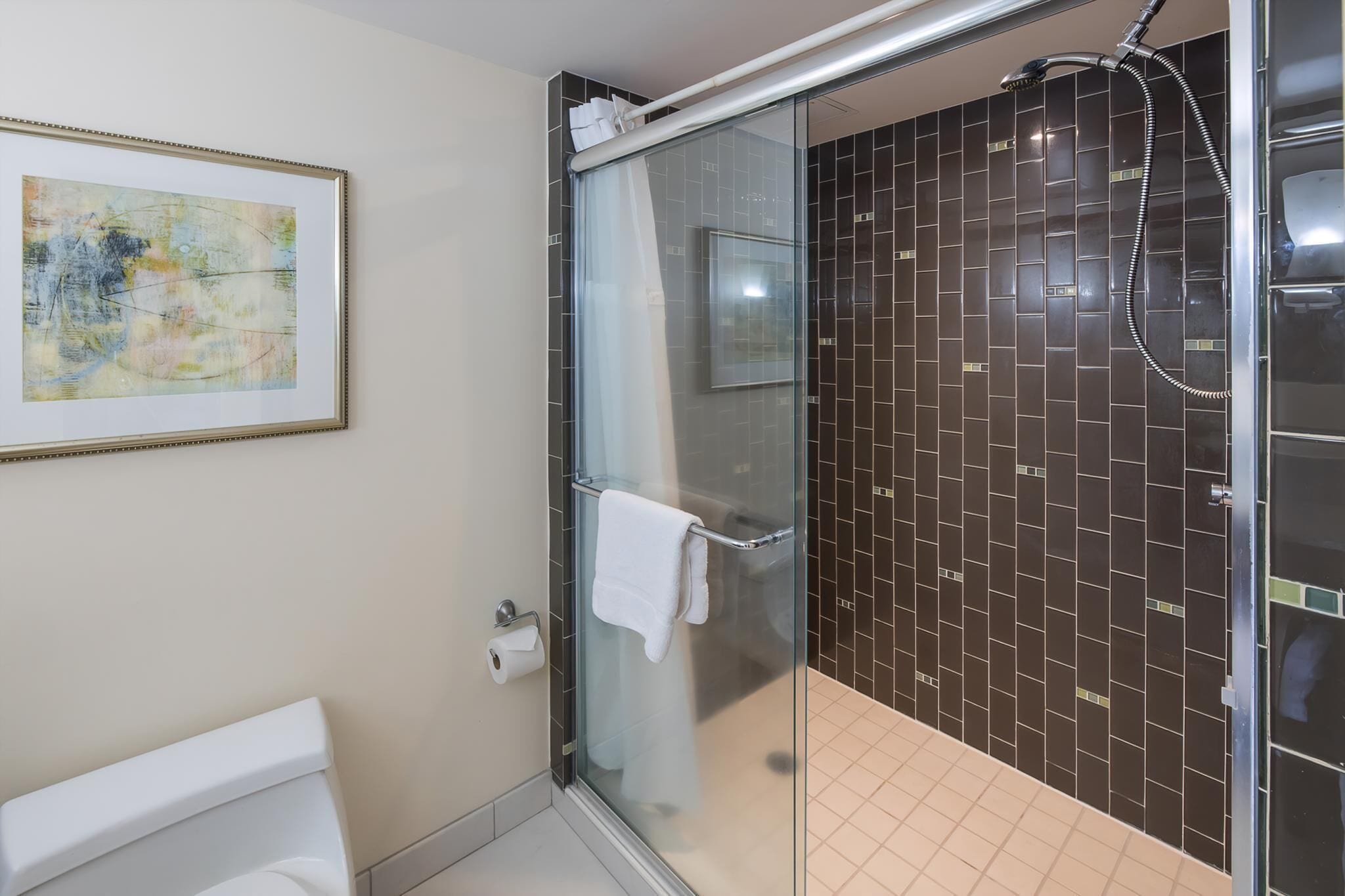 Hair dryer, towels, soap, shampoo