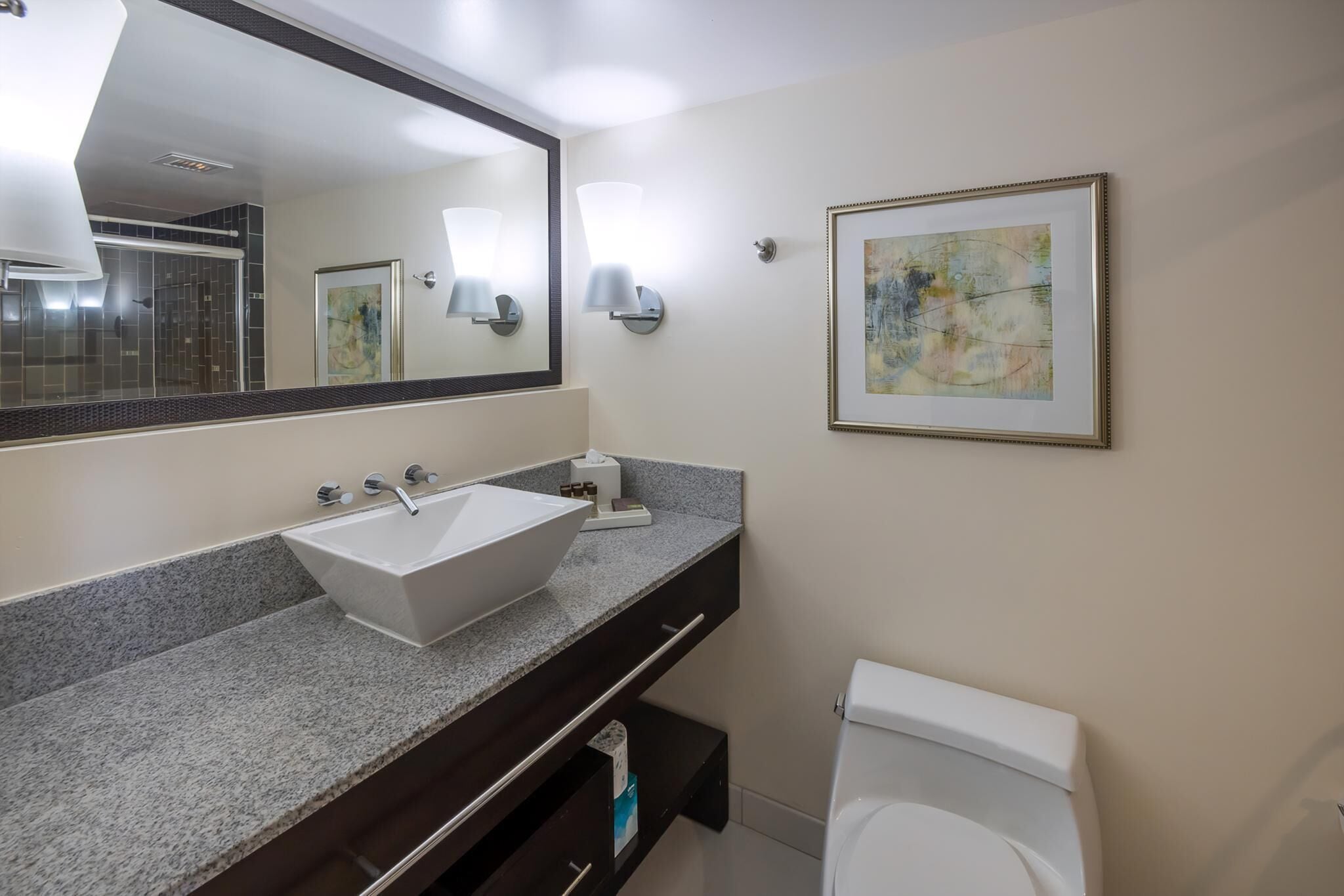 Hair dryer, towels, soap, shampoo