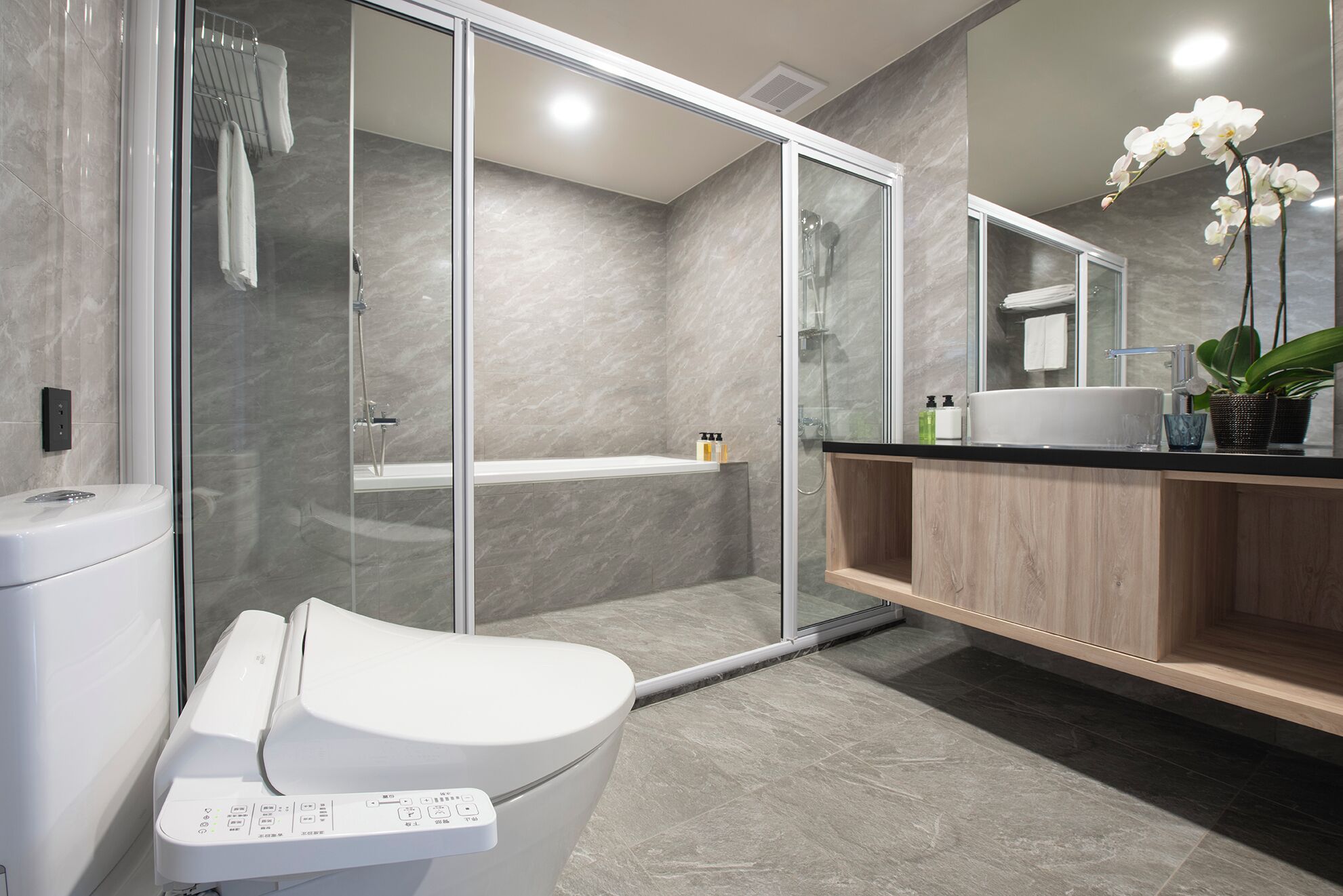 Deluxe Twin Room | Bathroom | Hair dryer, towels, shampoo, toilet paper