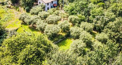 La casa del Fiume by Interhome