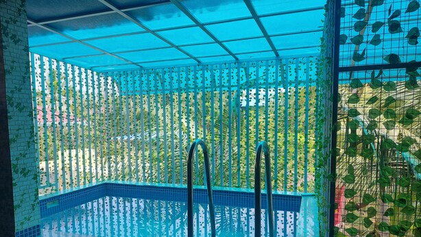 A swimming pool with a blue tiled floor, surrounded by a green fence with climbing plants. - Mary Land  Homestay - A  "Private Pool Villa" Near Trivandrum Airport and Beach. (Thiruvananthapuram)