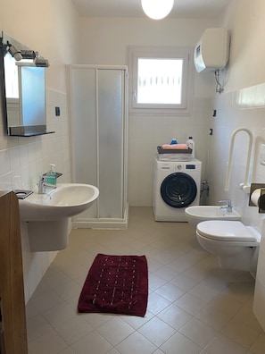 Shower, hair dryer, bidet, towels