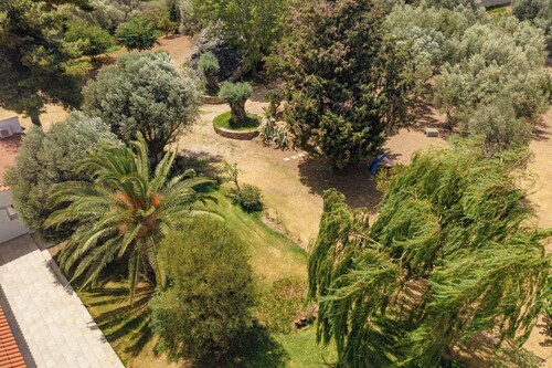 Blue Lagoon Paradise Estate 