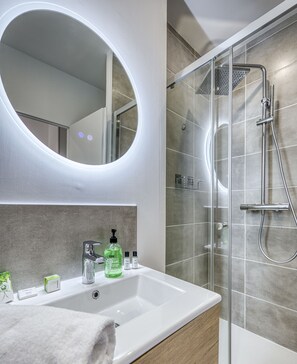 Hair dryer, towels, soap, shampoo - Rive Bleu: Charming T2 with Shared Beach (Doussard)