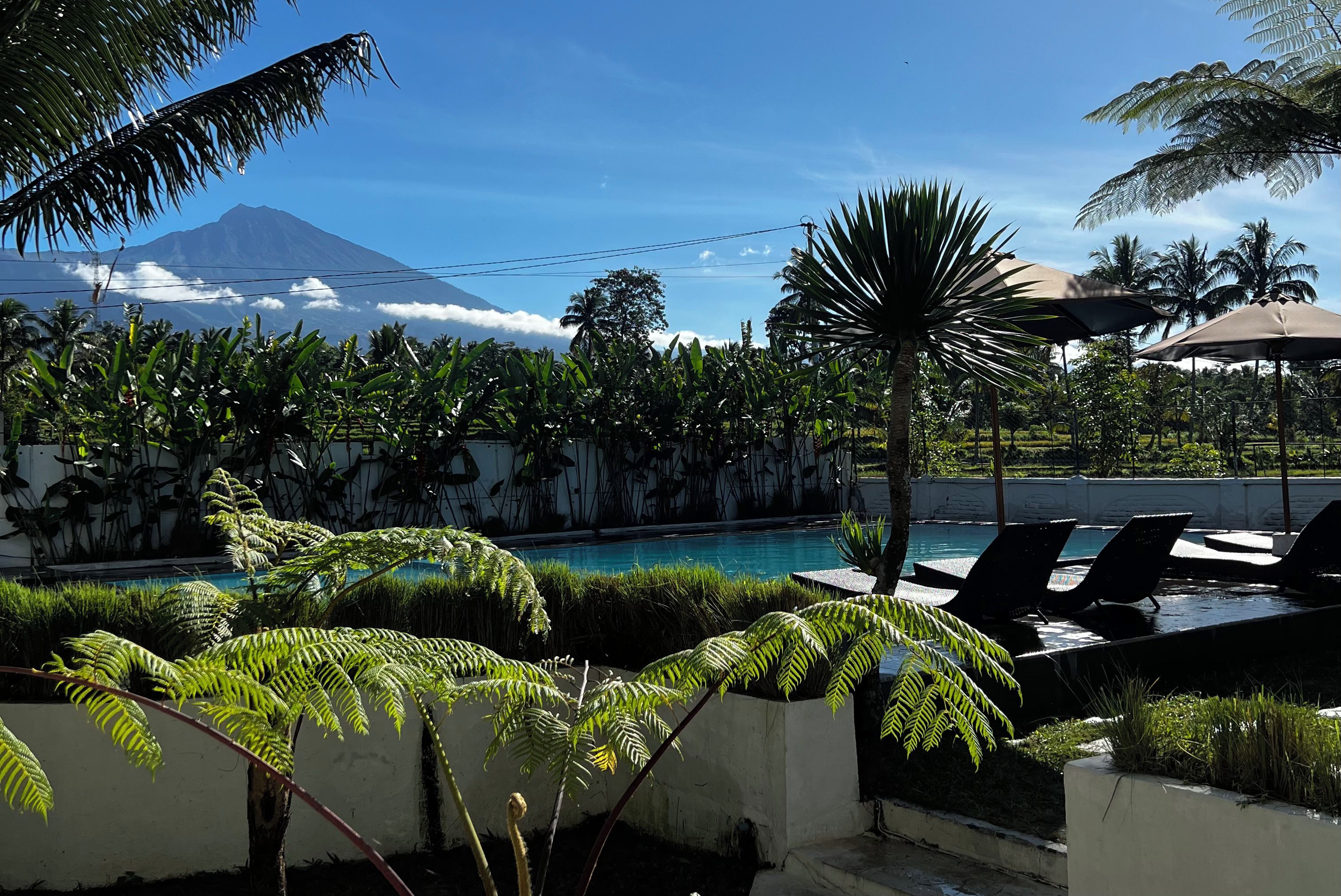 A pool area with lounge chairs, palm trees, and a mountain in the background.