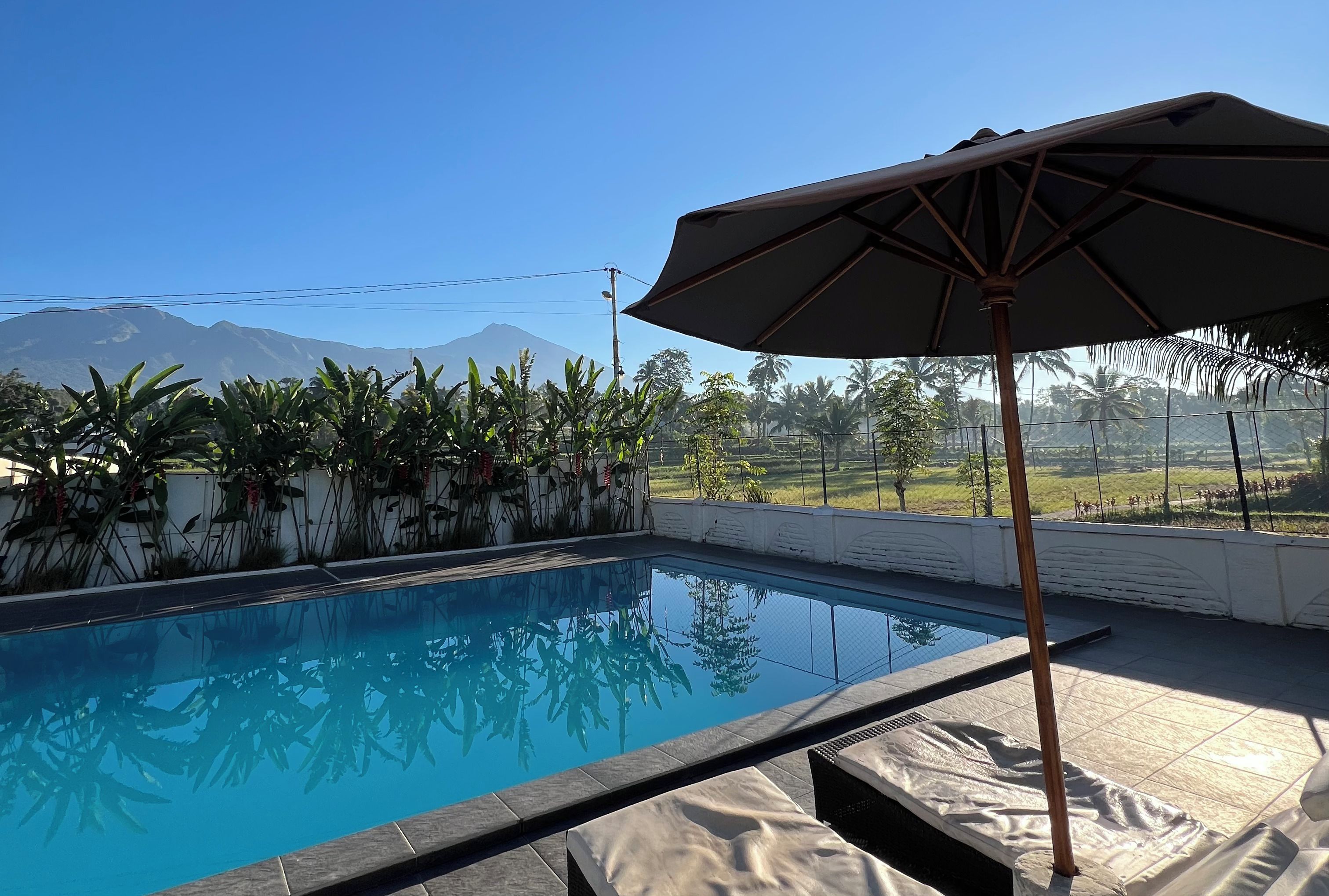 A swimming pool with a view of mountains and palm trees.