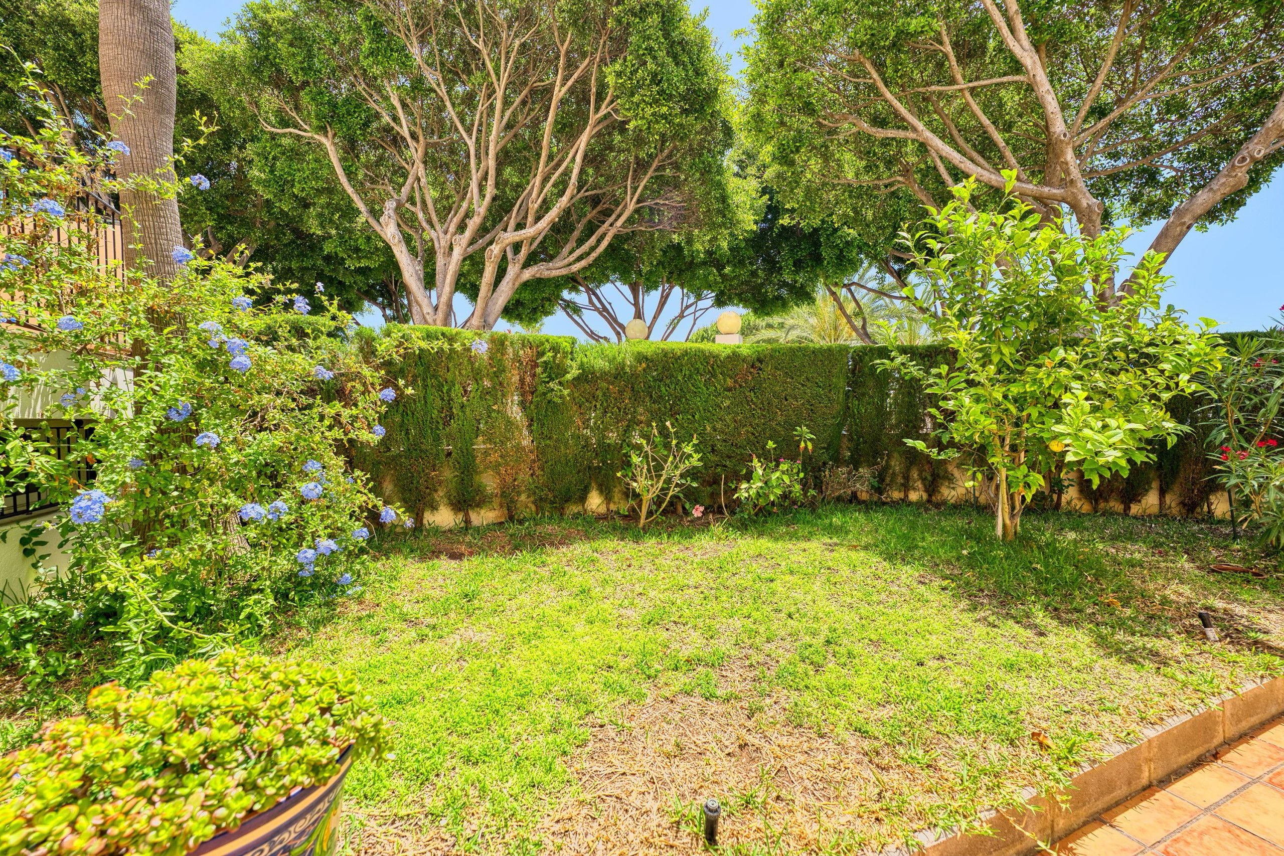 Ein Garten mit verschiedenen Pflanzen und Bäumen, einer Hecke und einer gefliesten Terrasse.