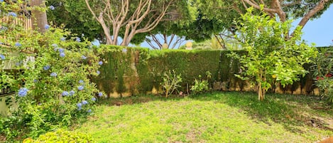 A garden with a variety of plants and trees, a hedge, and a tiled patio area.