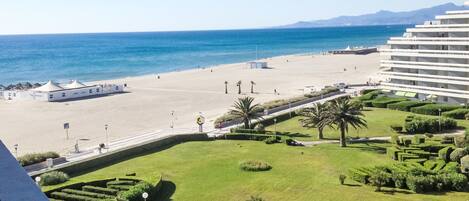 بالقرب من الشاطئ