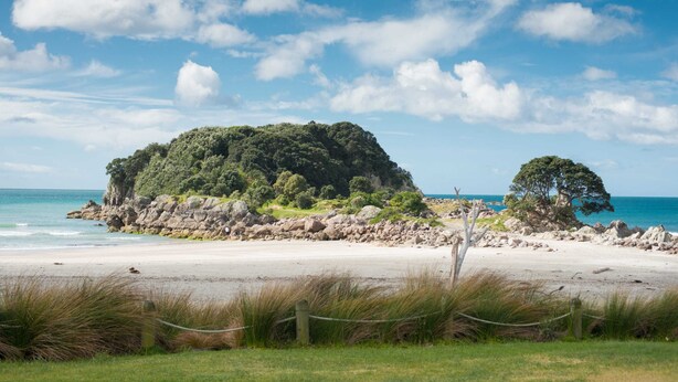 A beach with a rocky outcrop and a tree, surrounded by a grassy area and a fence. - Heart of Mt Maunganui (Mount Maunganui)