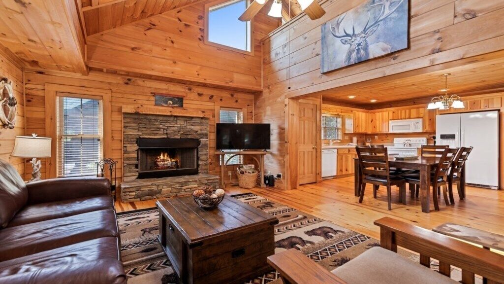 Smart-tv, pejs, bøger