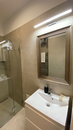 Shower, hair dryer, towels, toilet paper