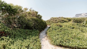 Un étroit sentier de terre, bordé d’une végétation luxuriante, mène à un bâtiment moderne doté d’un toit en pente.