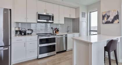 Spacious Apt Downtown