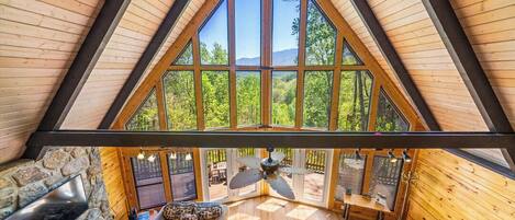 TV, fireplace, video games, table football