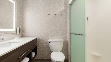 A bathroom with a white toilet, a sink with a mirror, and a shower area.