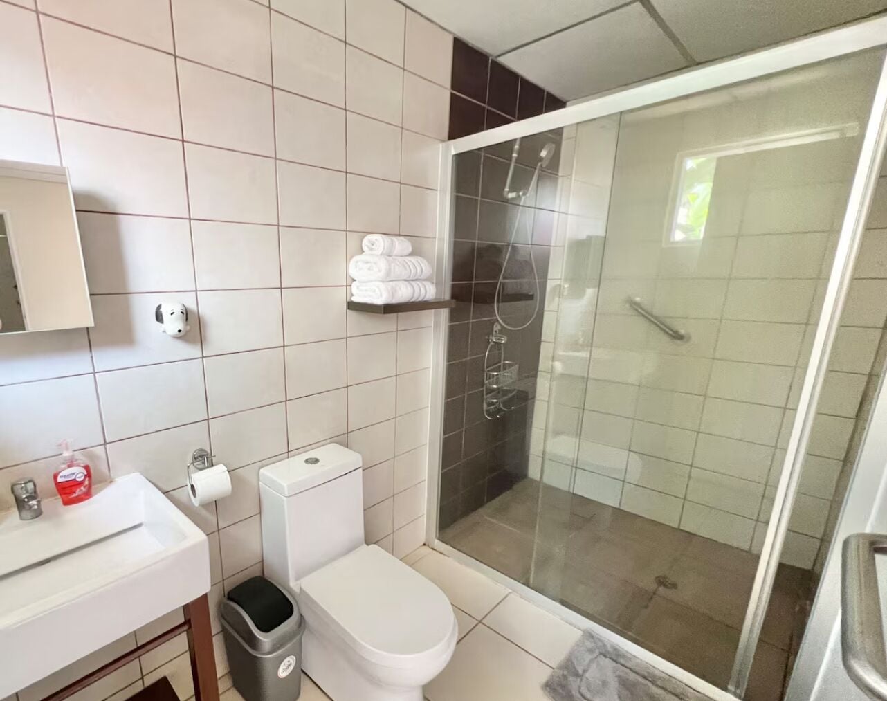 Douche, serviettes fournies, savon, shampoing