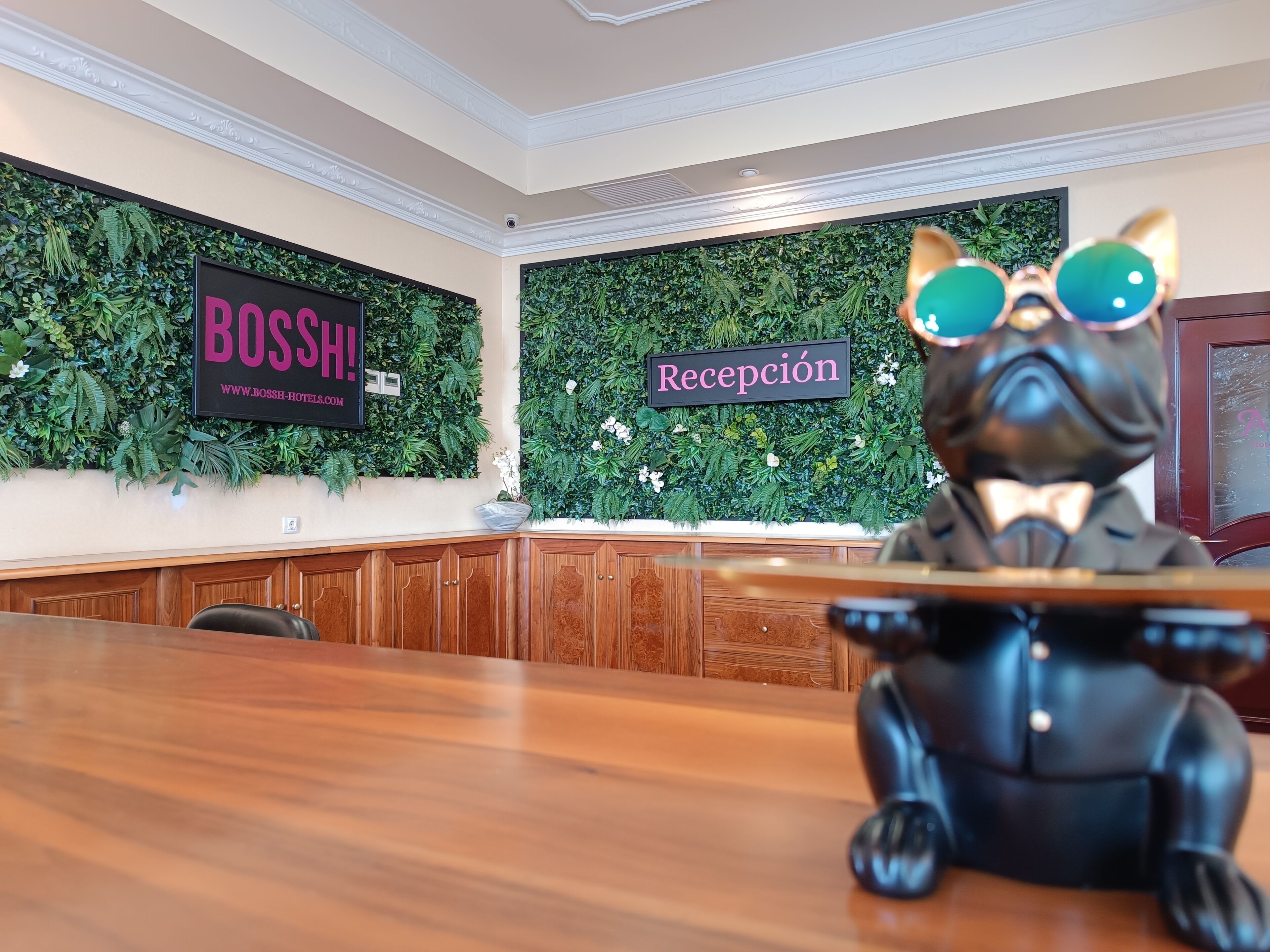 Un espace d’accueil avec un comptoir en bois, une statue de chien en peluche portant des lunettes et un nœud papillon, et un mur décoré de feuillage vert et d’une enseigne indiquant « Réception ».