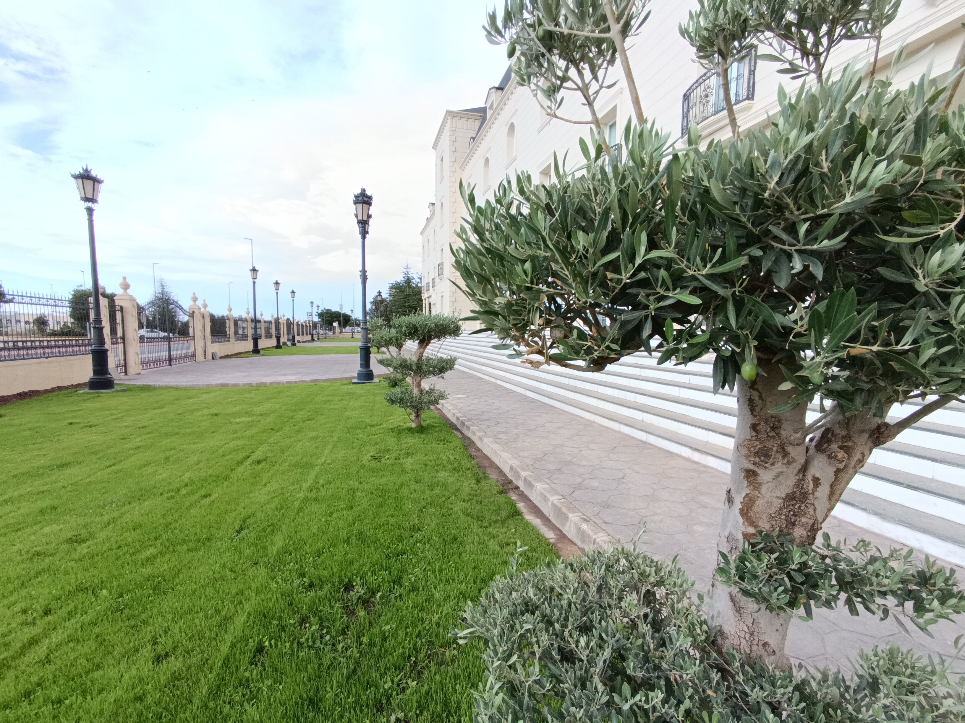 Un área verde bien cuidada con un sendero pavimentado, un farol y un edificio de fachada blanca.