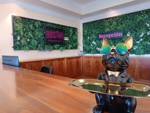 Reception - Hotel Bossh Alicia (Albacete)