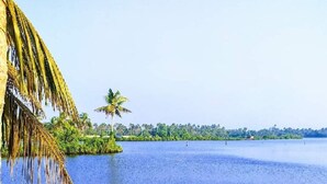 A calm water body with a boat, palm trees, and a distant shoreline.