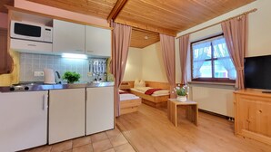 A compact room with a kitchenette, a bed, a TV, and a window with curtains. - Cozy 1-room apartment with terrace and mountain view (Oberau)
