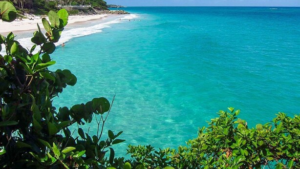 A beach with clear turquoise water, a sandy shore, and lush greenery in the foreground. - Ocean View by Bluescape (Belair)