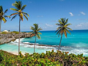 A coastal view with palm trees, clear turquoise water, and rocky outcrops. - Ocean View by Bluescape (Belair)