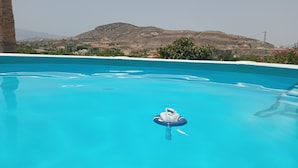 Piscina azul cristalina con un oso de juguete flotando y una persona nadando.