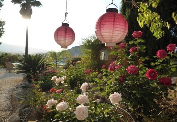 Overnattingsstedets uteområder