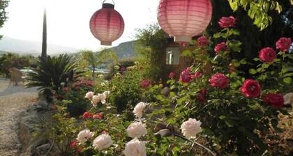 Schöne Ferienwohnung mit Großer Terrasse und Pool. Wunderschöne Aussicht!