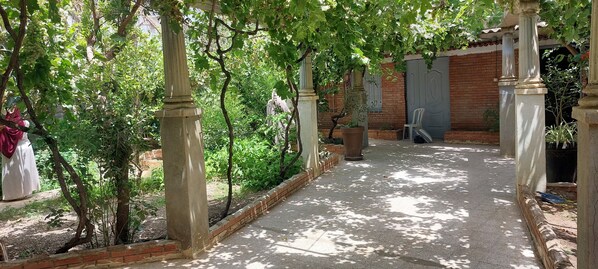 Terrace/patio - Maison de Vacances vue sur mer (Djinet)