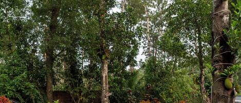 Uma área de refeições ao ar livre com mesa redonda, cadeiras e ambiente de jardim.