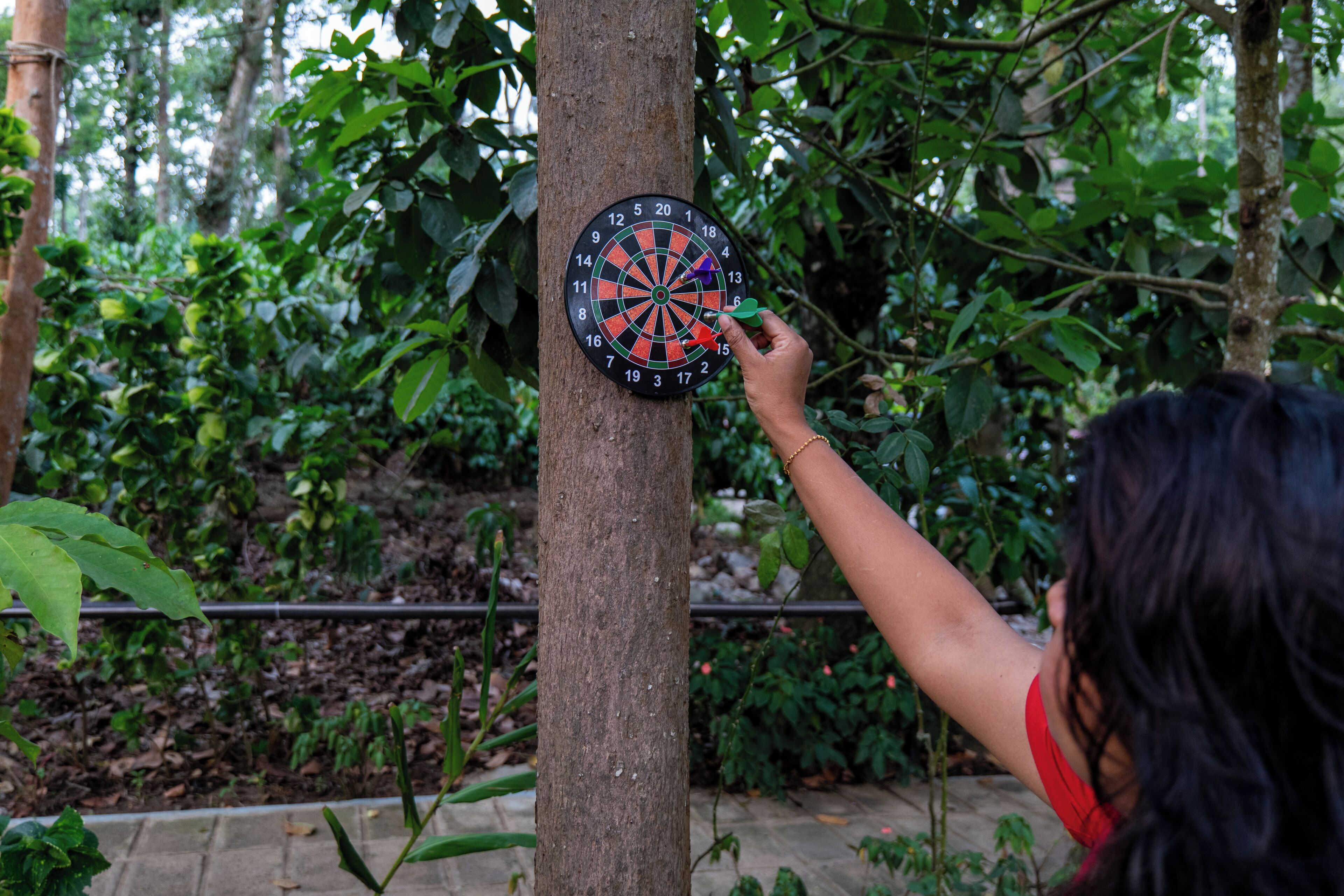 Een dartbord bevestigd aan een boom in een tuin.