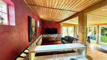 Smart TV, lareira, livros