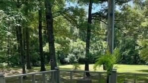 Una terraza de madera con zona verde, rodeada de árboles.