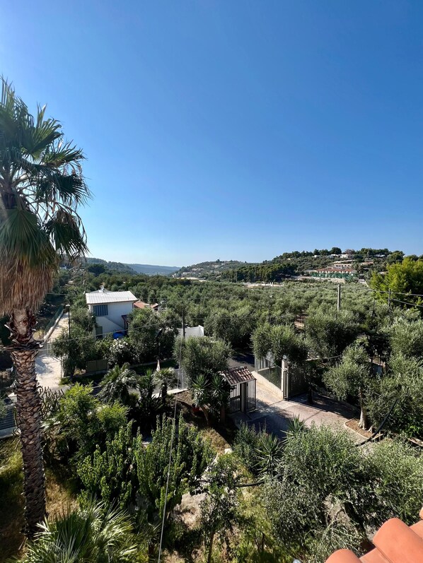 Property grounds - Three-room apartment Vieste 700 meters from the beach (Vieste)