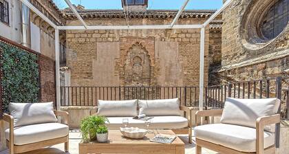 Bright Apartment in city center. San Pablo Terrace